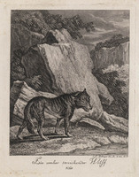 KG 01076
          <br/>
          Entwurf einiger Thiere. Vierter Theil. (16 bladen)
          <br/>
          <em>Ridinger, Johann Elias (1698-1767)</em>